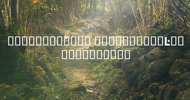 ������������ �������۵��Ŀ�����˭������